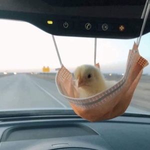 Meet your Posher, Joseph